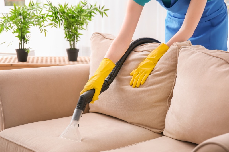 Especialista em Limpeza Profissional de Estofados, Carpetes e Persianas Especialista em Limpeza Profissional de Estofados, Carpetes e Persianas
